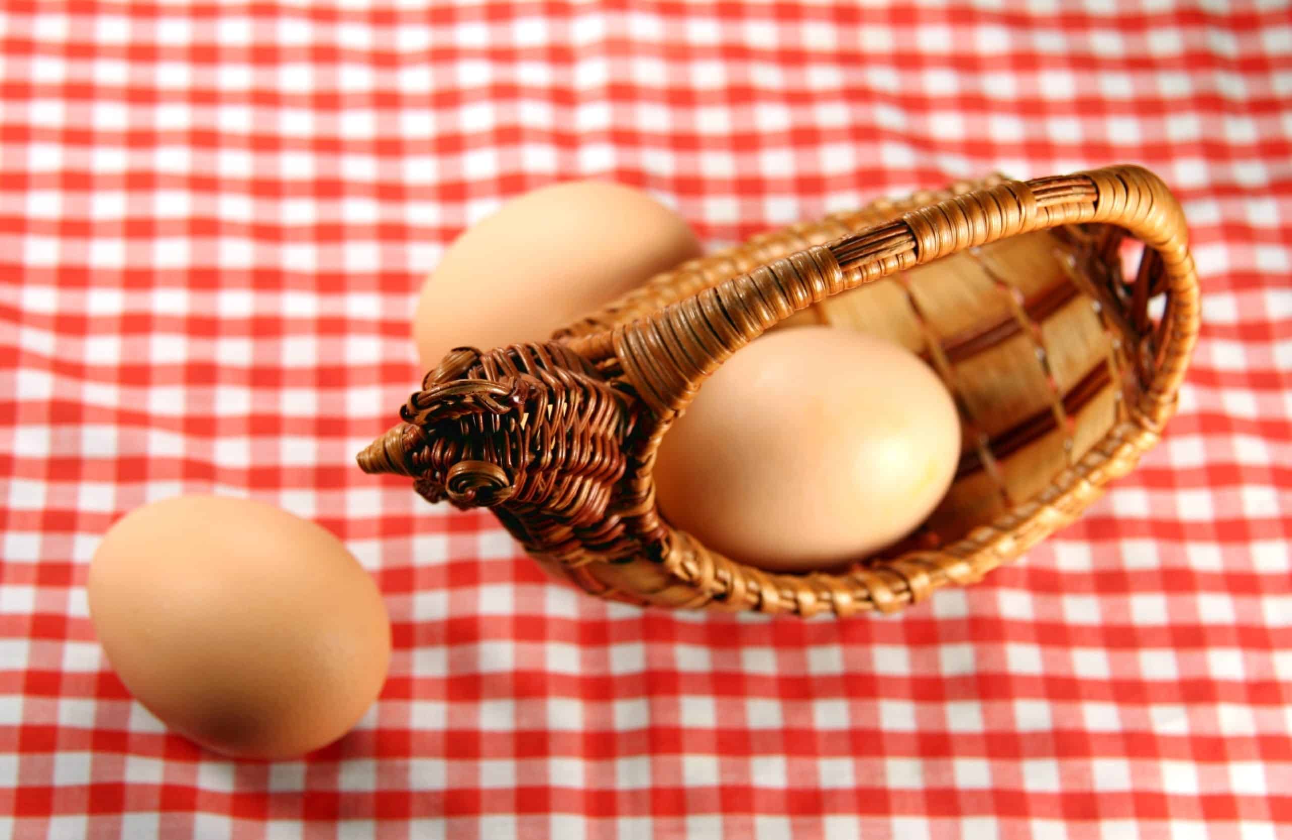 Episode 155: Personal progress, business development and focus Cover Image