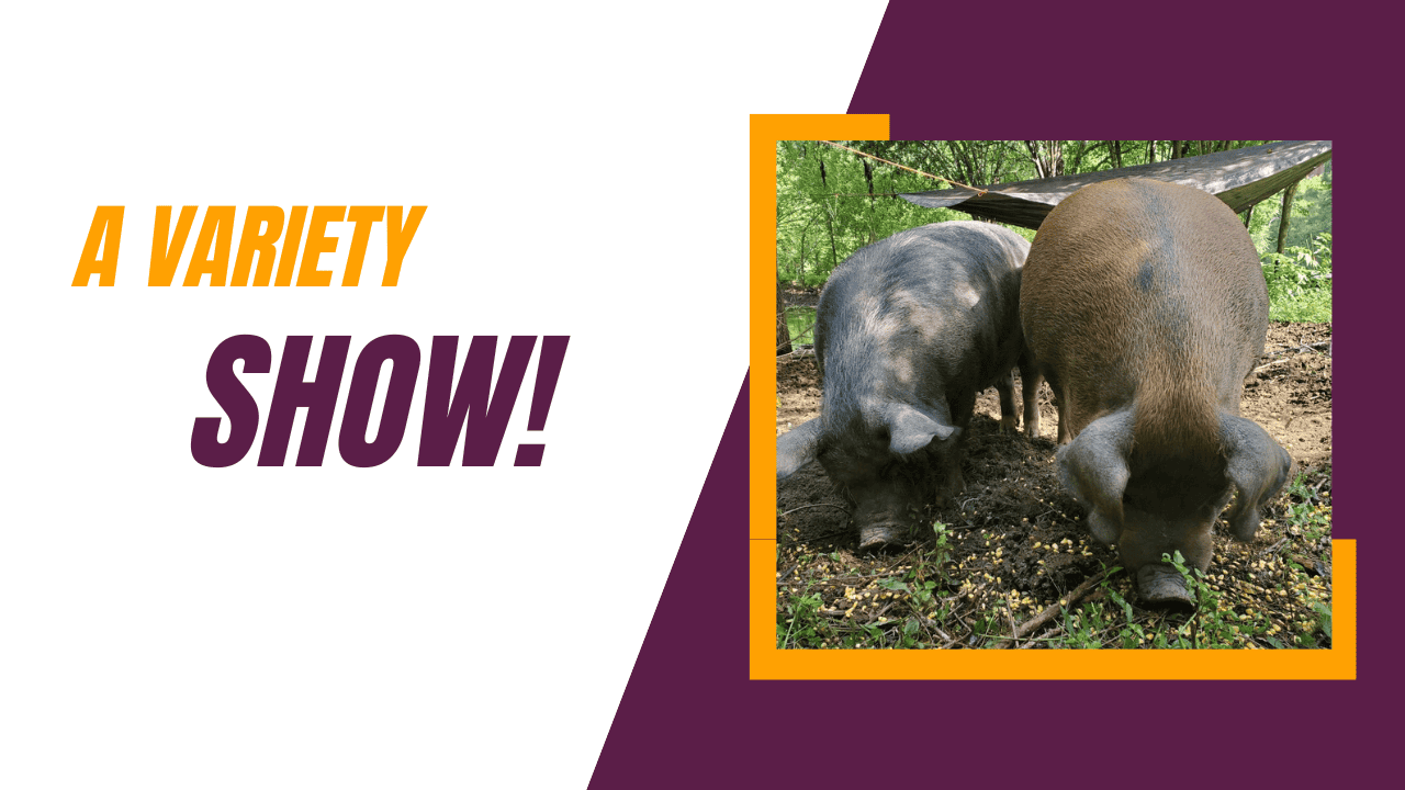 Episode 672 – A Variety Show for Dec 17, 2022 Cover Image