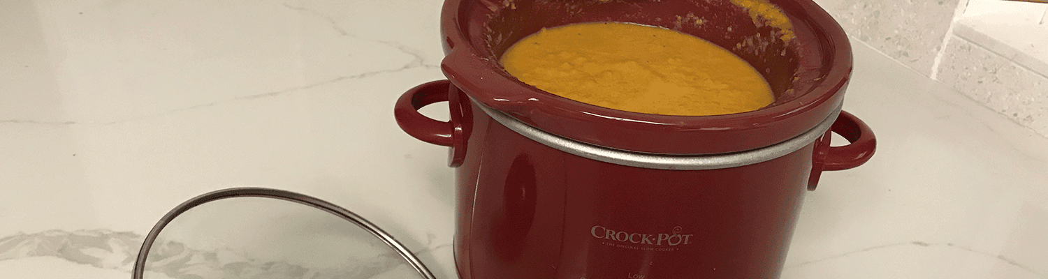 Warm and Orange for a Cold Spring Day Cover Image