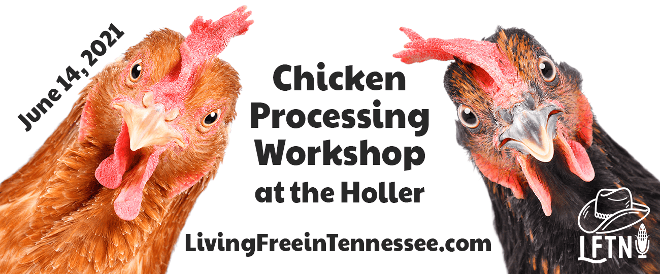 Chicken Processing Workshop, June 14 at 9am Cover Image