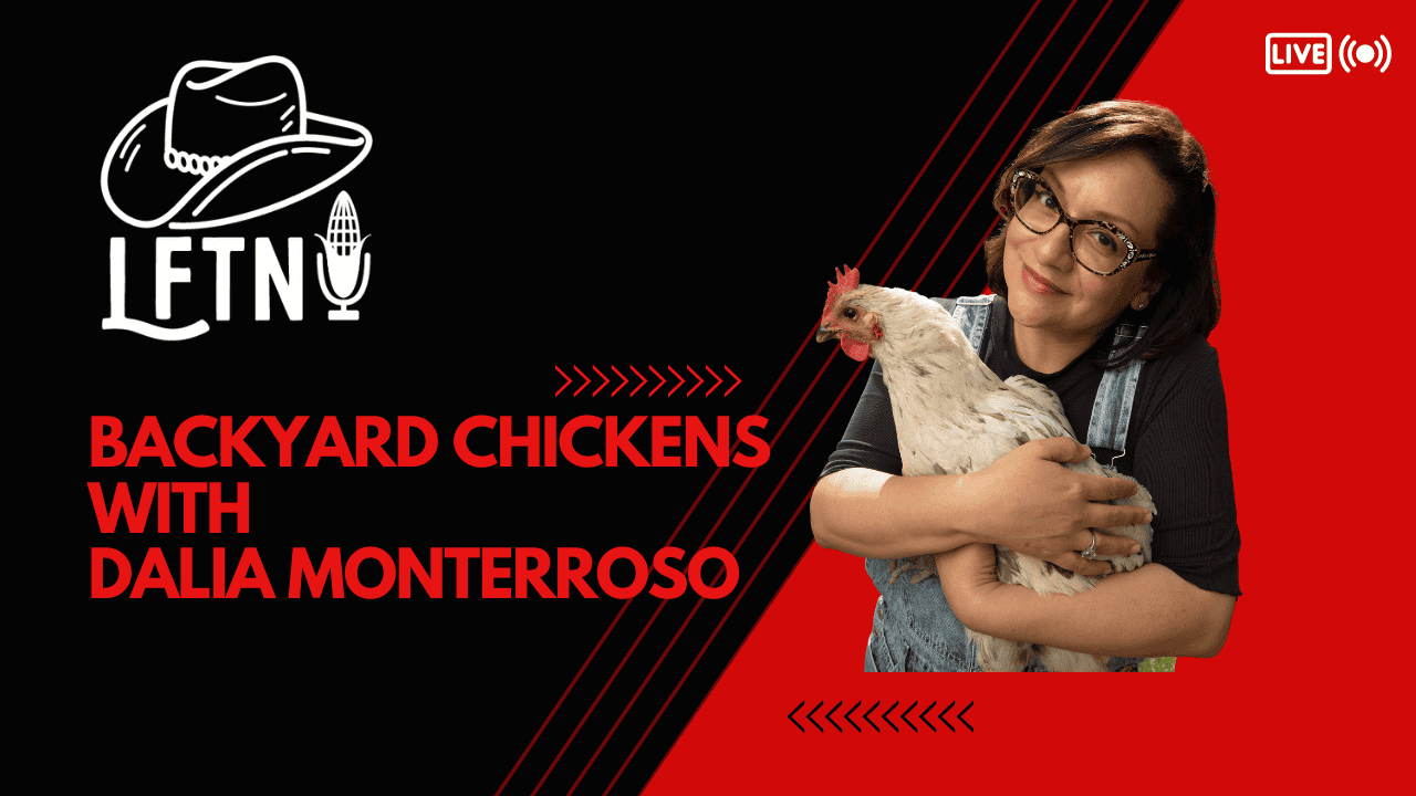 Episode 912 – Chicken Keeping with Dalia Monterroso Cover Image