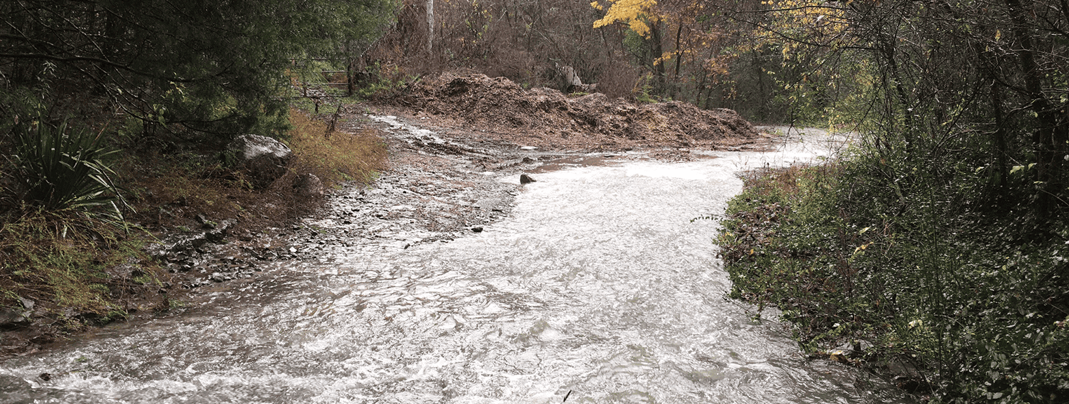 Episode 56: Letting Go in Times of Stress Cover Image