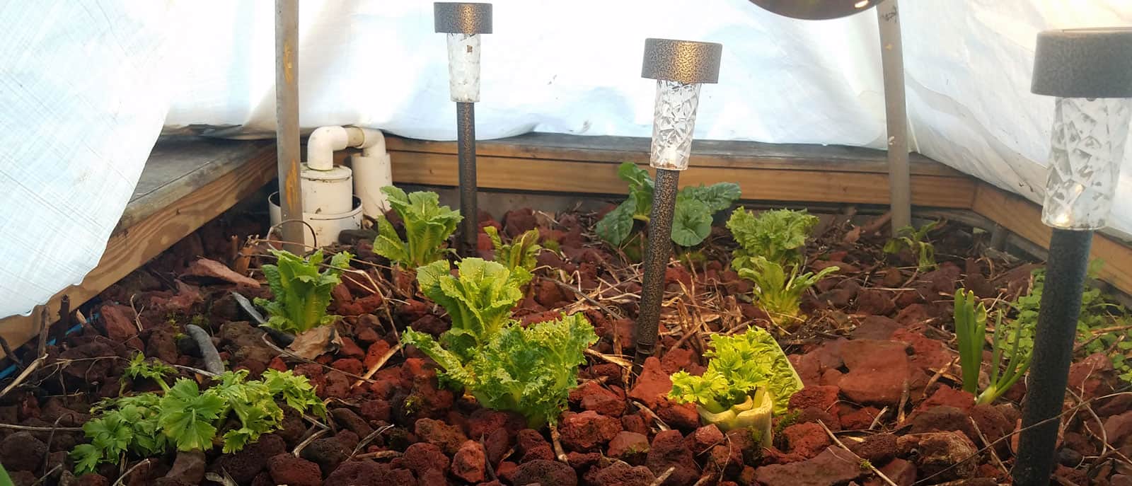 Episode 162: Replay of Breakthroughs Happen When You Least Expect Them Cover Image