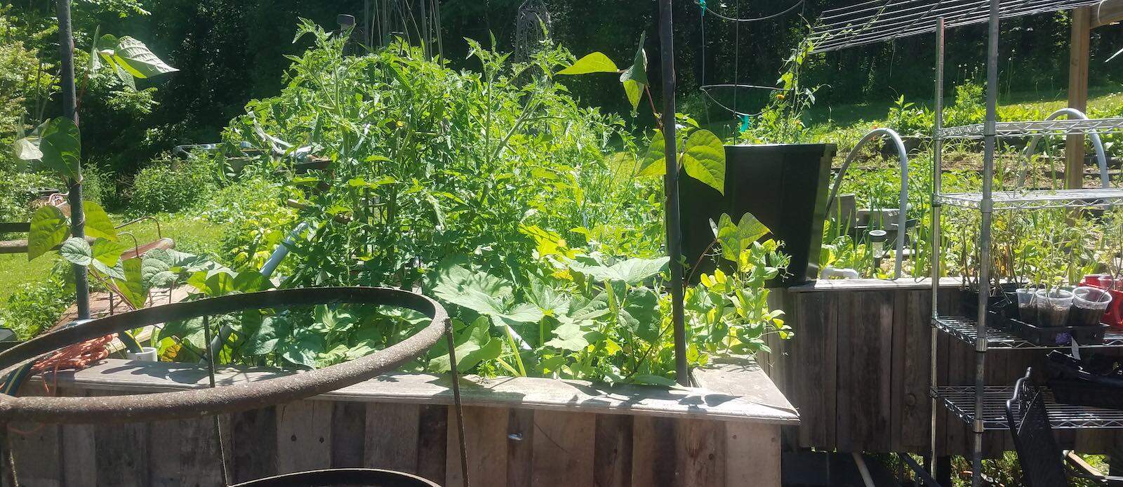 Freedom Cell Meetup in East TN! Cover Image