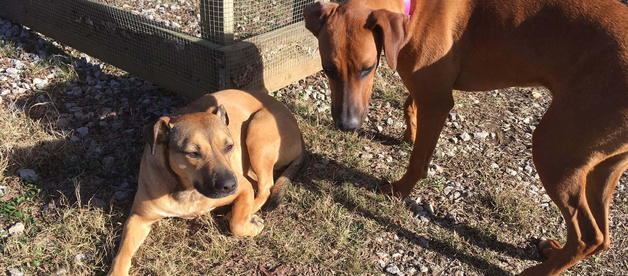 Episode 312 – A Community Tale Cover Image