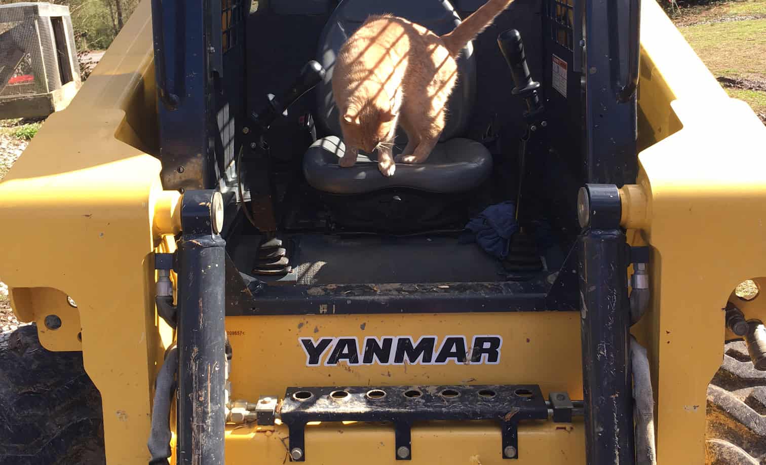 Episode 27: Three Mistakes to Avoid on Your New Land Cover Image