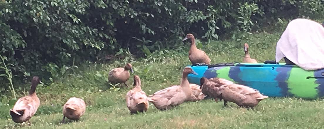 Episode 330: Jump Cover Image