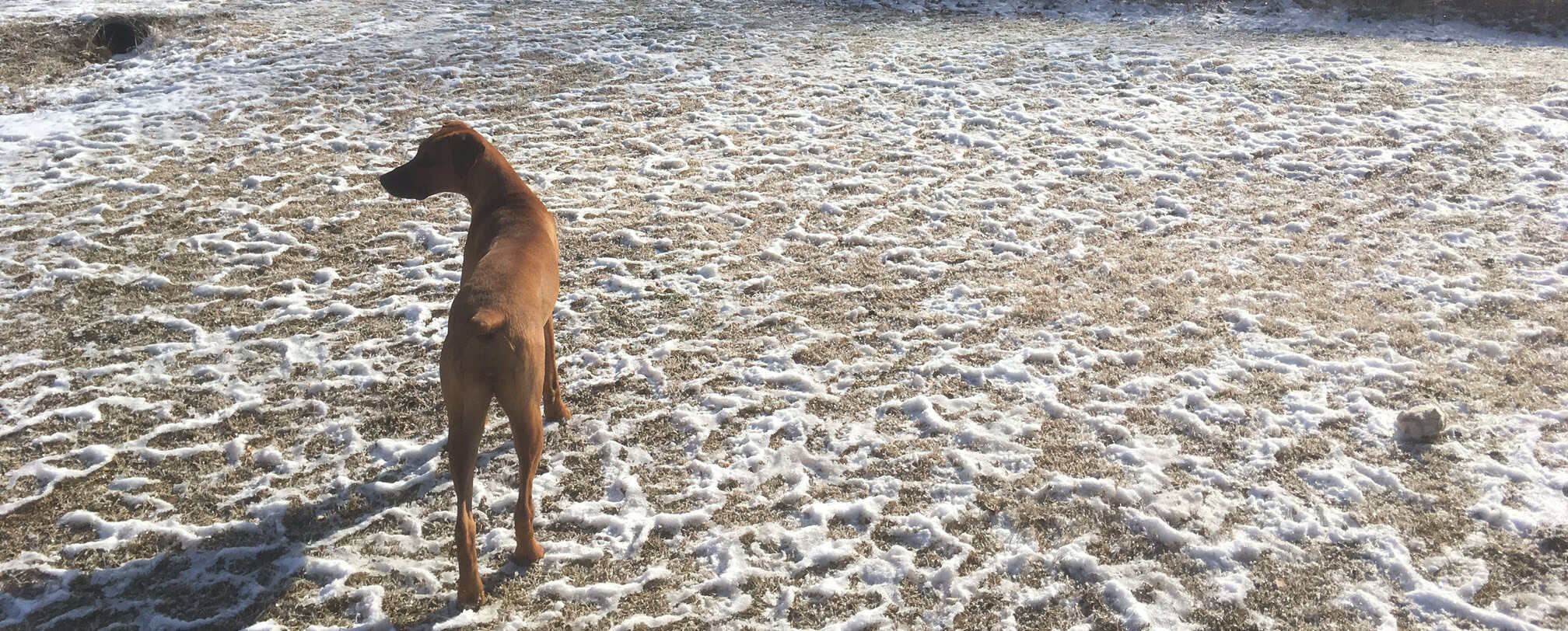 Episode 363: TOTW on Land Ownership Cover Image