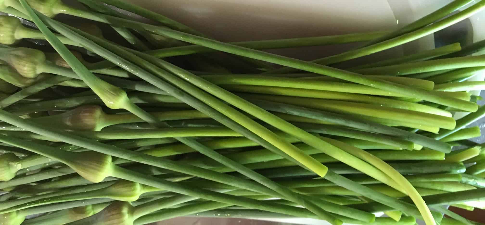 Zyliss Garlic Peeler Cover Image