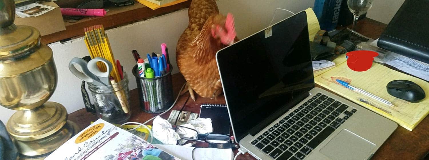 Episode 76: Deescalation Strategies, Bees and Stories from the Holler Homestead Cover Image