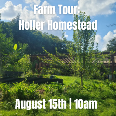 Holler Homestead Farm Tour — August 15