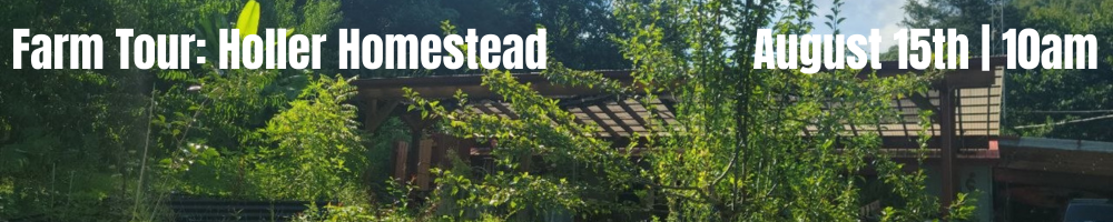 Holler Homestead Farm Tour