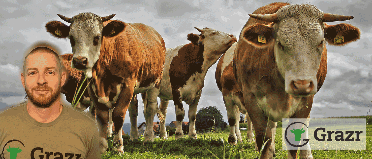 Episode 268: Find Local Food with Grazr Cover Image