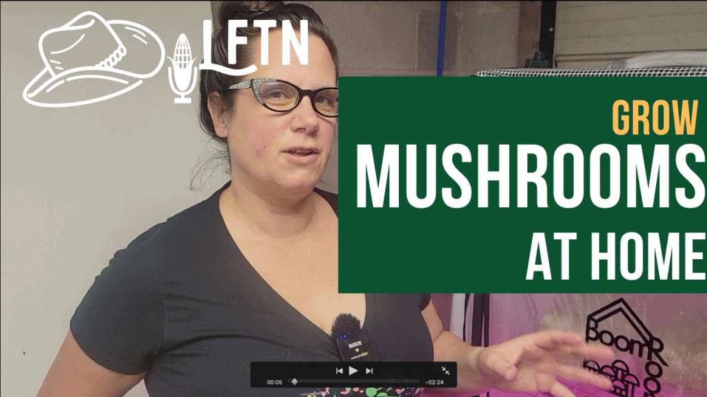 Woman explaining mushroom cultivation in a home setup with Northspore Martha Tent.