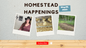Homestead Happenings podcast episode for May 26, 2023, featuring homesteading updates.
