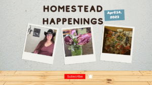 Homestead Happenings episode for April 14, 2023, featuring homesteading activities and updates.