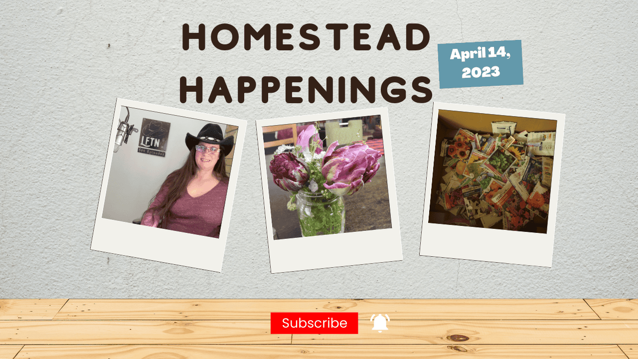 Episode 725 – Homestead Happenings for April 14, 2023 Cover Image