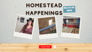 Homestead Happenings for March 10, 2023, featuring Tennessee homesteading updates.