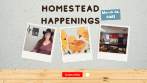 Homestead Happenings episode for March 31, 2023, featuring homesteading updates.