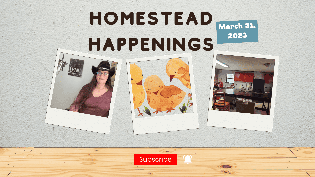 Episode 717 – Homestead Happenings for March 31, 2023 Cover Image