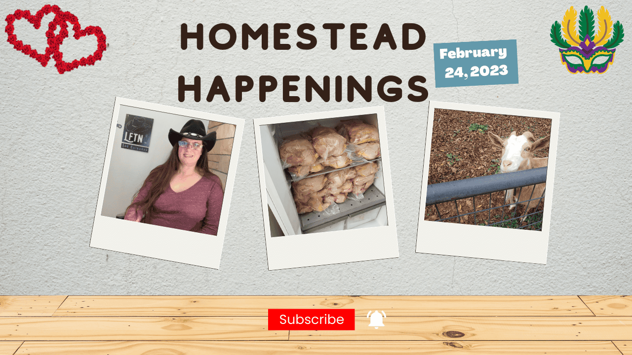 Episode 703 – Homestead Happenings for Feb 25, 2023 Cover Image