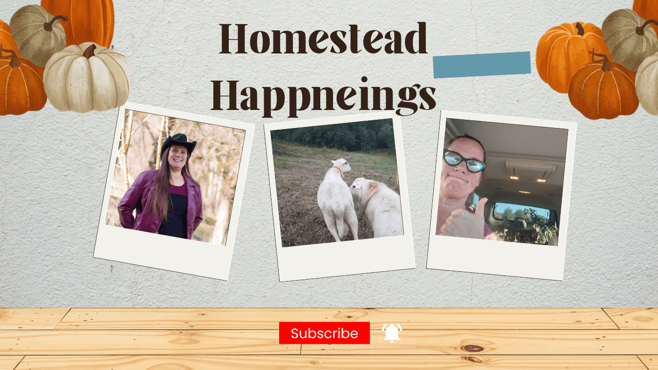 Episode 667 – Homestead Happenings for Dec 9, 2022 Cover Image