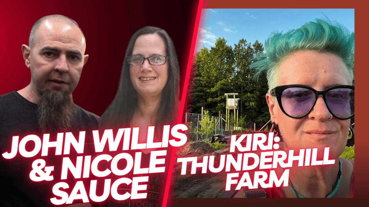 First Tuesday Chat with Kiri – Ep 904 Cover Image