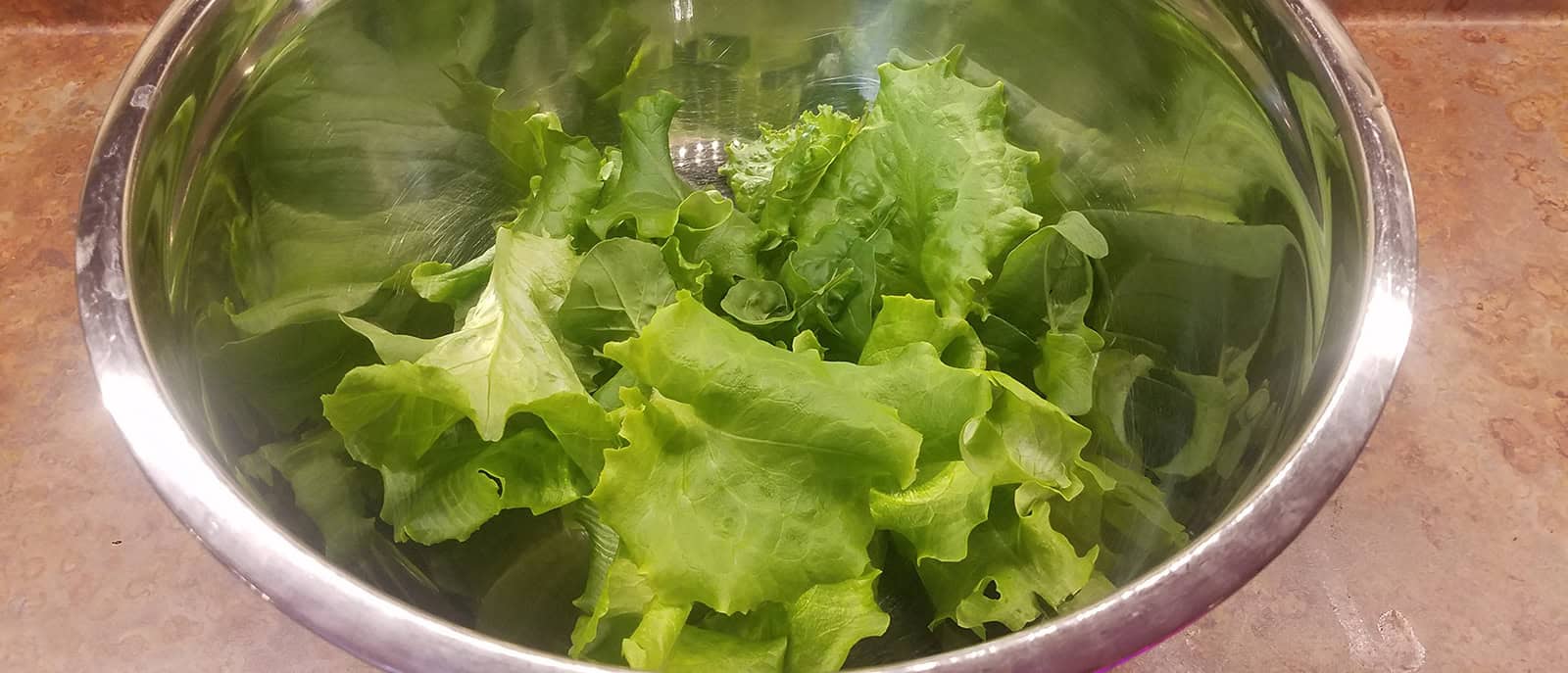 Episode 264: Five Lessons Learned From Growing Lettuce Inside Cover Image