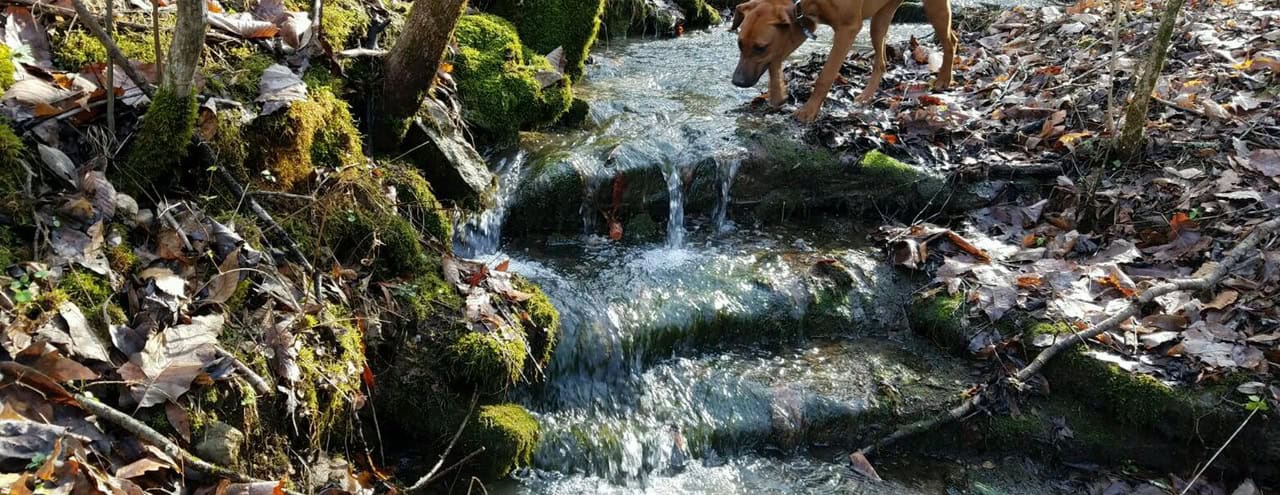 Episode 216: Thought of the Walk on Can’t Cover Image