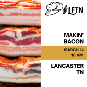 Makin’ Bacon