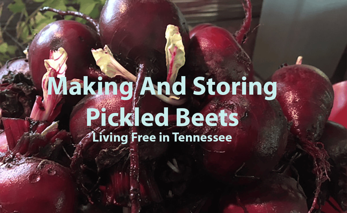 Episode 4: Making and Preserving Pickled Beets Cover Image