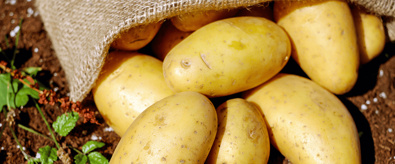 Grilling Keeps the House Cool! Cover Image