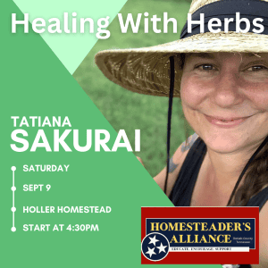 Potluck and Meetup in the Holler