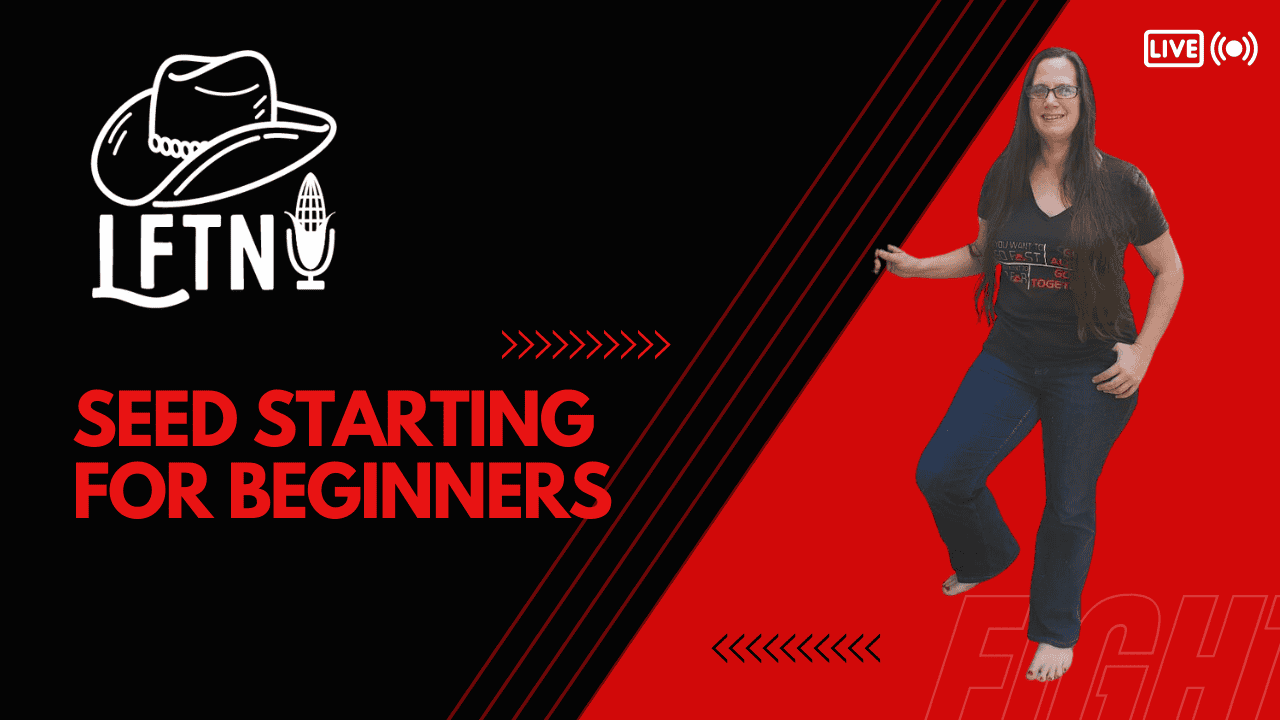 Episode 862: Seed Starting For Beginners Cover Image