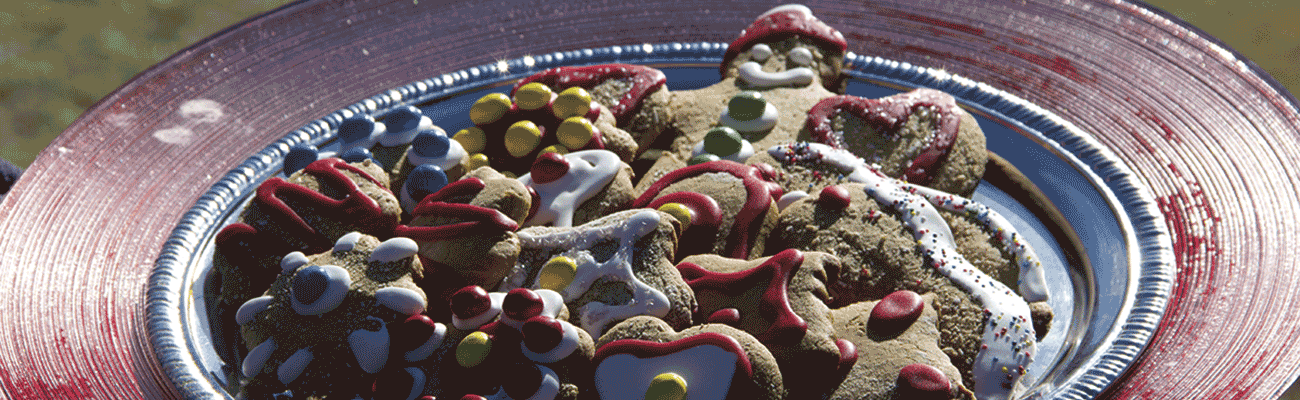 Episode 113: The Night Before Christmas Aussie Style Cover Image