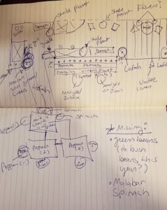 drawing of planting plans