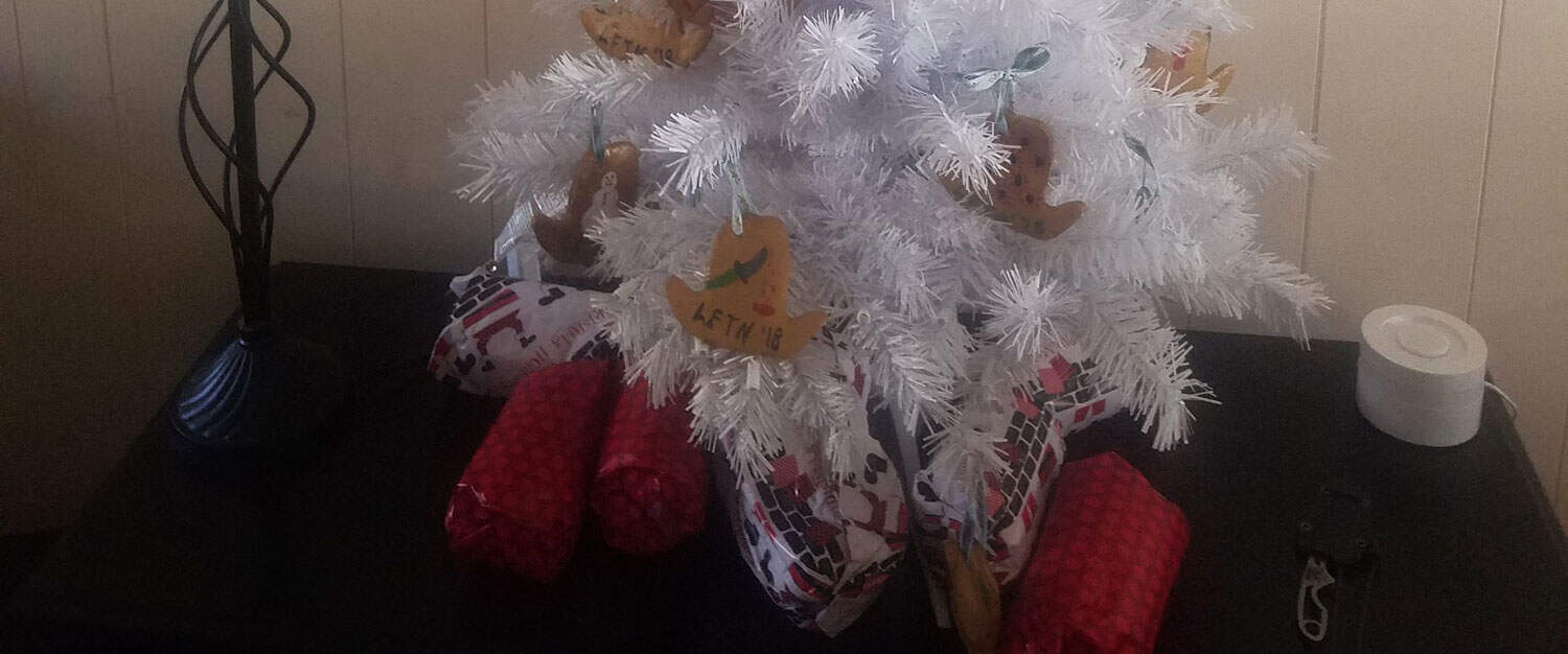 Episode 110: Learning First Aid for the Homestead Cover Image