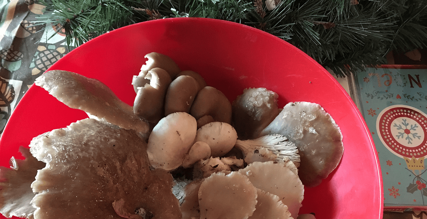 Episode 16: Advice from a Savings Ninja – Interview with Samantha Comfort Cover Image