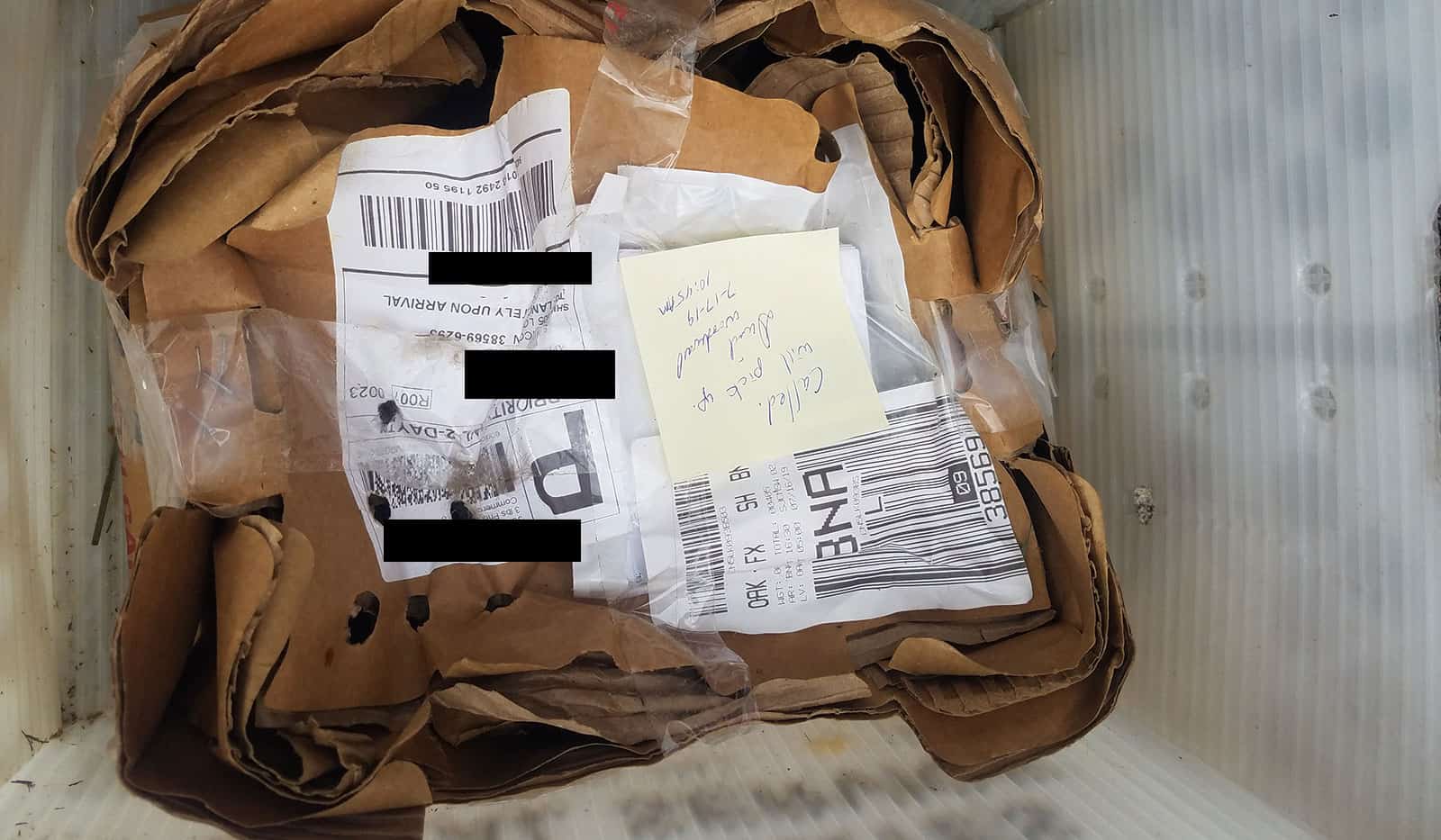 Episode 193: Mail Ordered Baby Ducks Cover Image