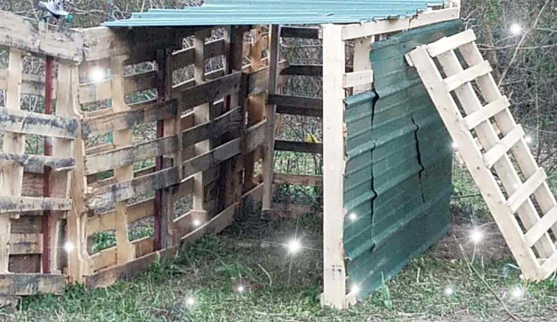 Episode 301 – Nicole’s Tools Cover Image