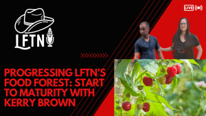 Two hosts discussing food forest progress with raspberry plants in the background.