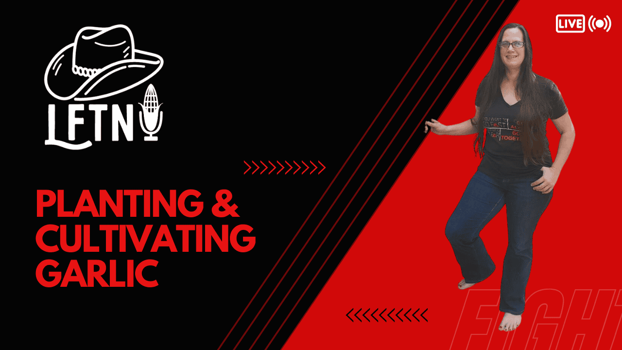 Planting and Cultivating Garlic – Ep 874 Cover Image