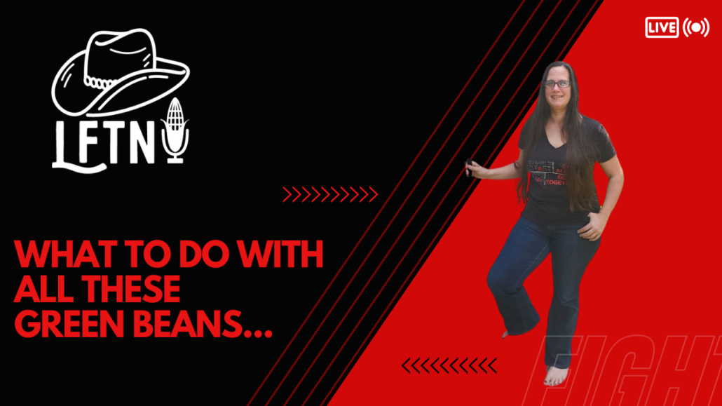 Processing An Abundance Of Green Beans – EP 1157