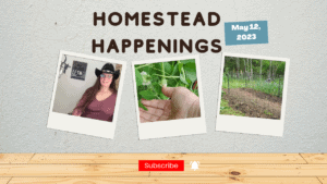Homestead Happenings episode cover with photos of a woman, plants, and a garden plot.