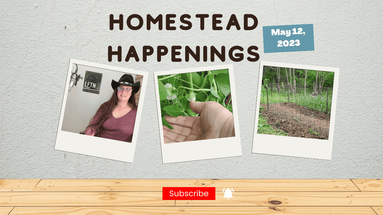Episode 743 – Homestead Happenings for May 12, 2023 Cover Image