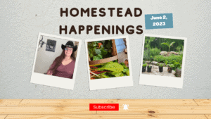 Homestead Happenings podcast episode about June 2, 2023, focusing on homesteading updates and rural.