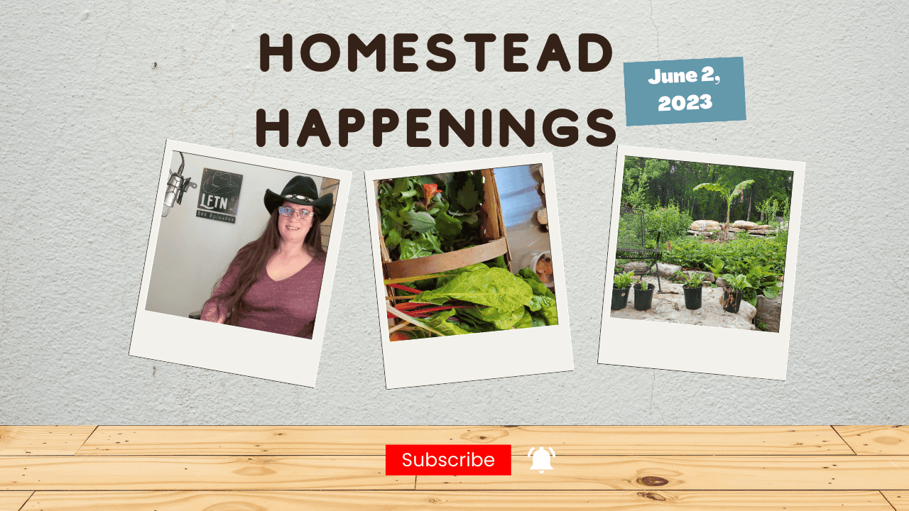 Episode 754 – Homestead Happenings for June 2, 2023 Cover Image