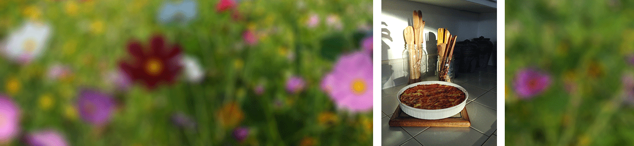 Episode 307 – TOTW on Tattling Cover Image