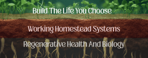 Building a sustainable homestead with thriving plants and healthy soil.
