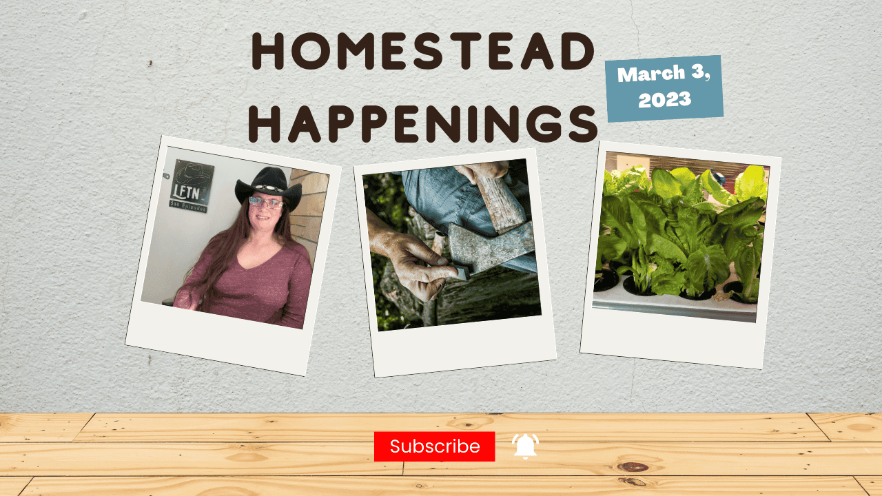 Homestead Happenings for March 3, 2023 Cover Image